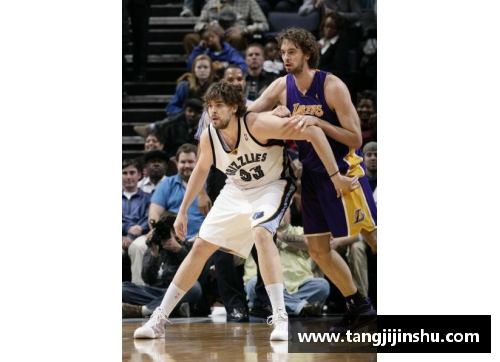 NBA常规赛精彩回顾：赛季亮点与球员表现全面解析