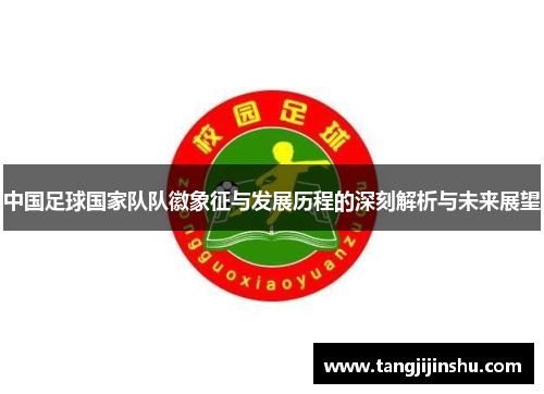 中国足球国家队队徽象征与发展历程的深刻解析与未来展望