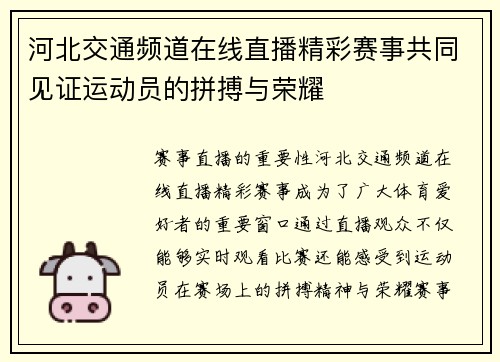 河北交通频道在线直播精彩赛事共同见证运动员的拼搏与荣耀